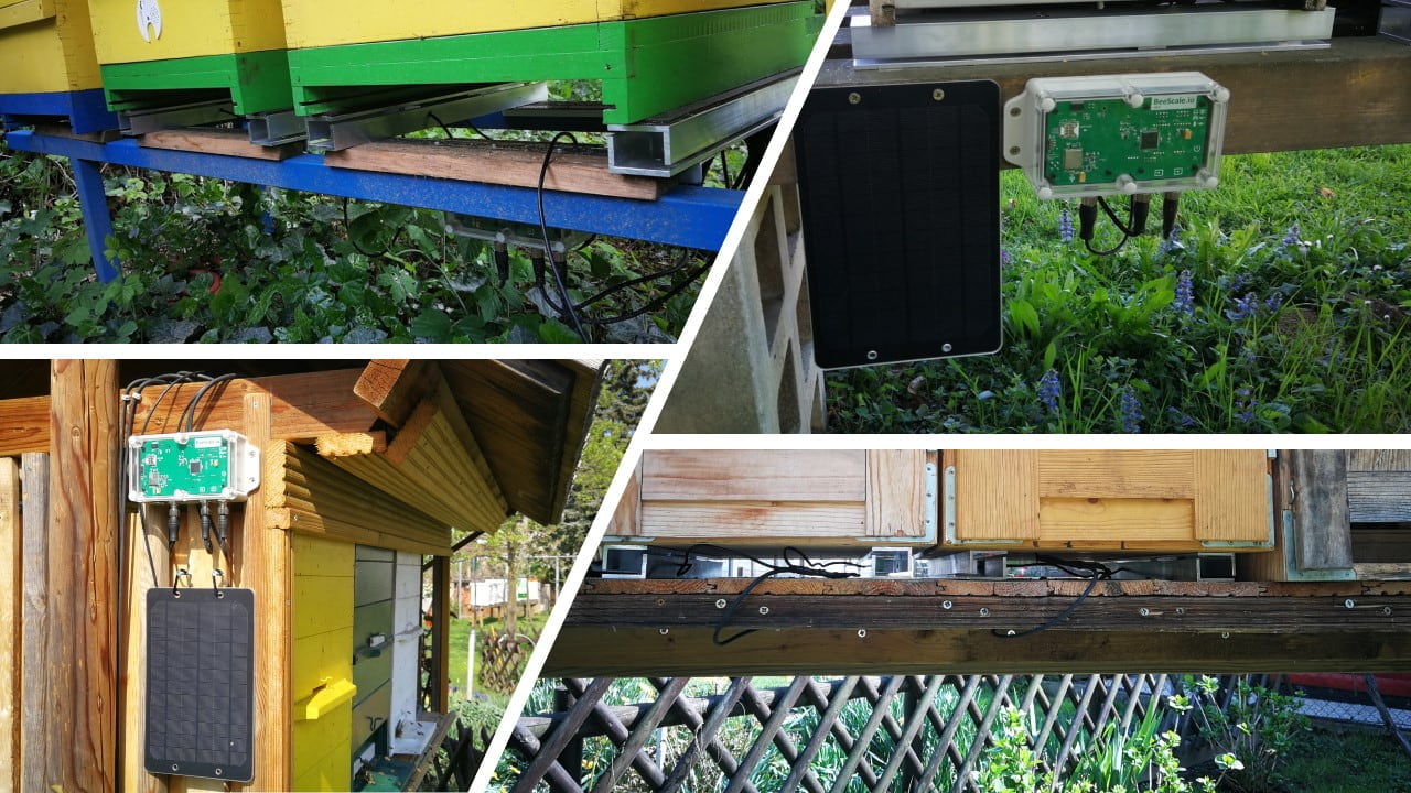 Przykłady montażu wagi ulowej