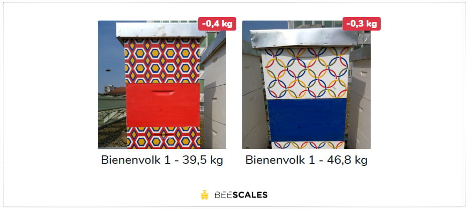 Web-widgety wagi ulowej